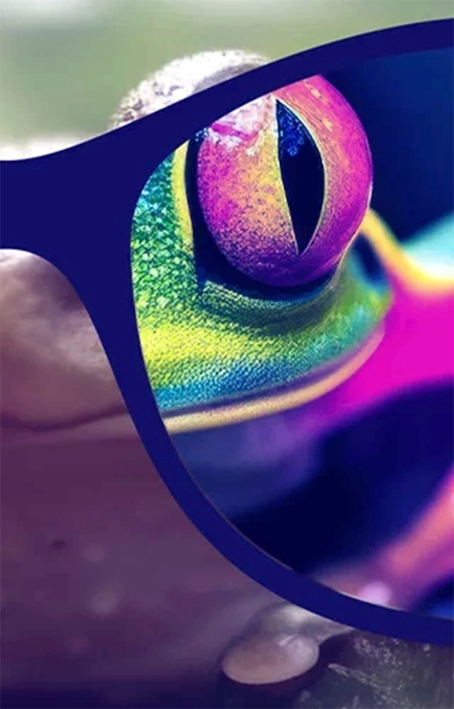 Une banale grenouille apparait plus colorée au travers de lunettes