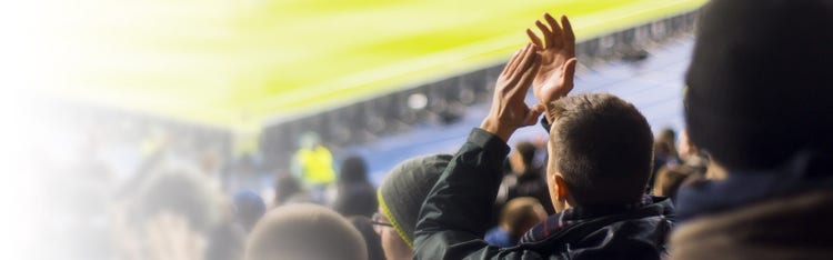 fans cheering in a stadium