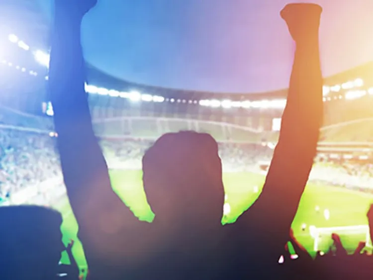 Fans at a match