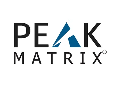 Peak Matrix logo