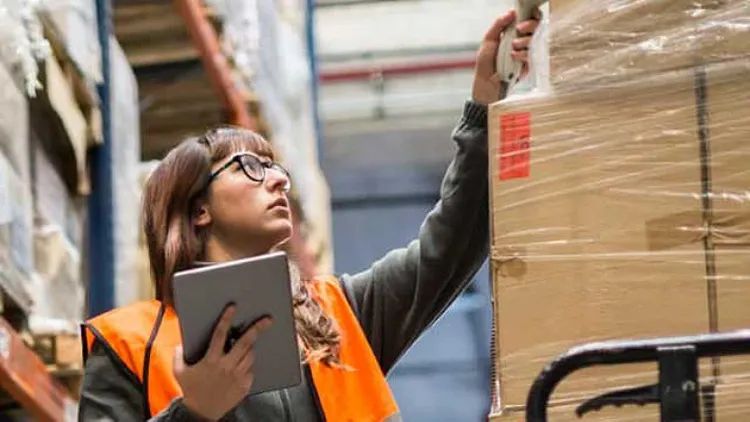 Woman scanning boxes.