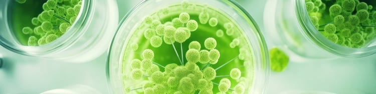 A green color virus like structure in a cylindrical flask