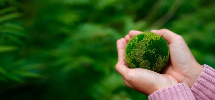 Women hands holding earth on green background.