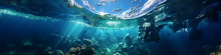 Underwater view of ocean