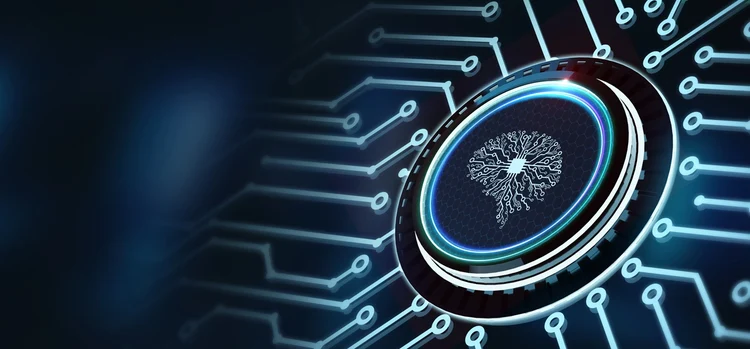 A connected network system in the form of a brain