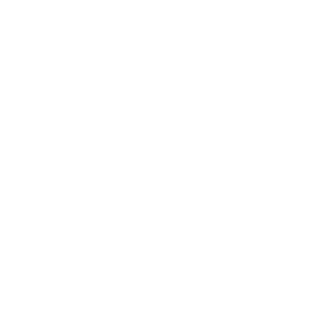 Wheel with circles icon