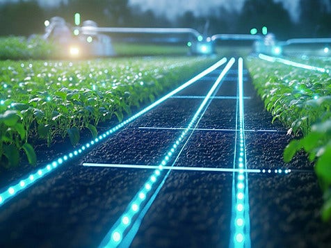 A farm scene illuminated by ground lights, creating a warm and inviting atmosphere at dusk.